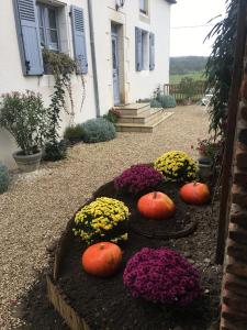 Maisons de vacances Gite de l’enclos : photos des chambres