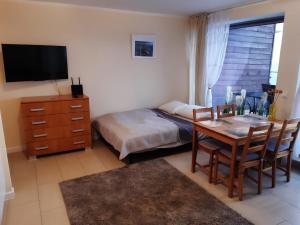 Apartament Wisła Bukowa