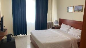 New Park Hotel