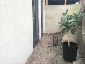 Mysig studiolägenhet i Västra Göteborg