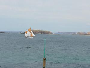 Appartements Joli studio a DINARD /LA RICHARDAIS a 5 mn plage : photos des chambres