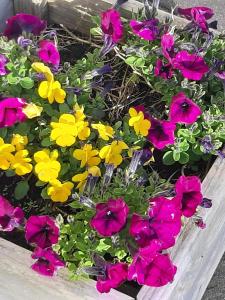 Ben Haven Self Catering Accommodation