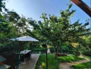 Entre ville & campagne (jardin avec rivière) - 伊斯术