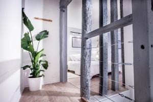 Appart'hotels MAYA Appartements & Suites : photos des chambres