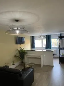 Grand studio à 5 minutes du centre - Trieu de Frêne