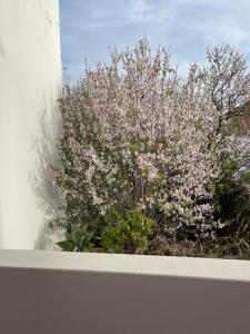 Casa da Aldeia - Guest House