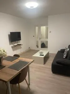 Superbe appartement spacieux avec parking et jardin privé - Seclin