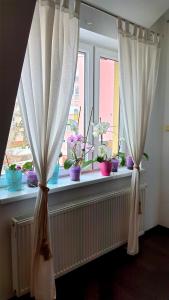 APARTAMENT 202