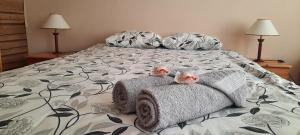 Elisabeth´s apartment & courtyard for barbeque