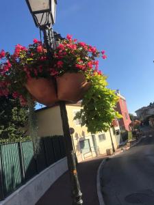 Appartements Studio in the center of Saint-Jean-cap-Ferrat : photos des chambres