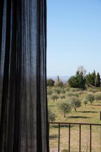 Sejours a la ferme Ferme Oleicole Les Callis : photos des chambres