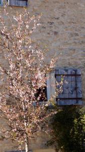 Sejours a la ferme Ferme Oleicole Les Callis : photos des chambres