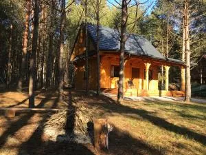 FoRest Inn - Adamów