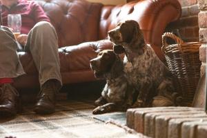 The Strathcarron Hotel