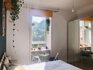 Cosy 2 Bedroom Flat in Edinburgh