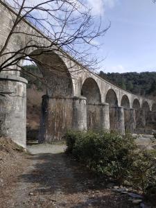 Maisons de vacances Maison au coeur des Cevennes Meridionales : photos des chambres