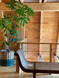 Akmensrags Aleksandri