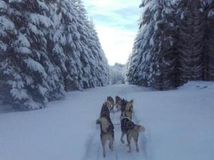 Grand studio 6 pers. Super Besse, Résidence ***