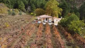 La Limonera - Riópar