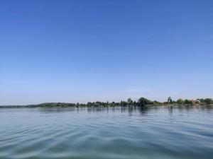 Domek w sosnach nad jez Białym kGostynina