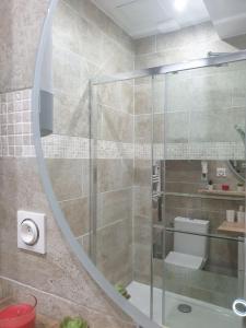 Appartements Exotic Stones Hyper Centre Fontaine Moussue : photos des chambres