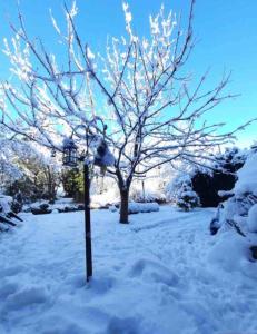 Maisons de vacances Entre ville & campagne (jardin avec riviere) : photos des chambres