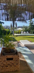 Family House Los Cuatro Robles - Ubytování bez kategorie ve městě San Pedro