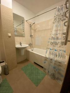 Apartment on Pechersk