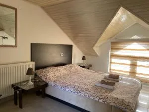 Simic - 阿然德洛维克