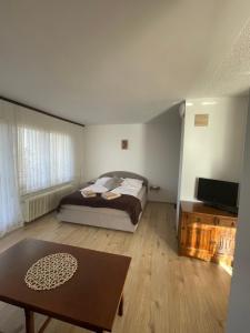 Apartmaji Mojca 