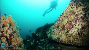 Punta de choros Cabañas bahia carrizalillo