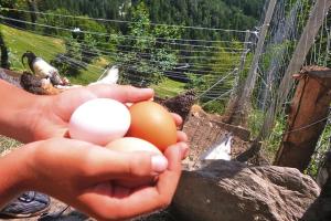 Chalet in Funes Valley with Dolomites Views