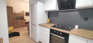 Apartament przy Parku