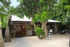 La Margarita