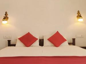 Lakefront Beach Homes