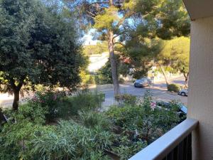 Appartements STUDIO SAINT MANDRIER : photos des chambres