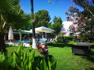 Anita Kemer Noch Hotel -Inclusive