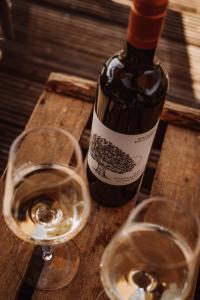 Weingut Kollerhof am Eichberg