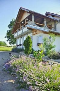 Apartment in Rakovica with balcony, air conditioning, Wi-Fi (601-2)