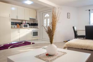 Apartment in Rakovica with Wi-Fi (601-3)