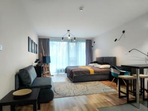 EASY RENT APARTAMENTS - Silver 9, Basen & SPA, Centrum Free Parking 24h Check-in