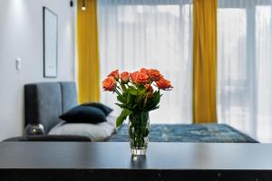 EASY RENT Apartments - Silver 8, Basen & SPA, Centrum Free Parking 24h Check-in