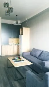 Areg's house, warm apartment in Kechi house - 萨克德佐尔镇