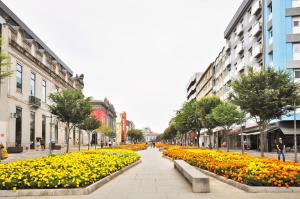 RH Charming Apartment Liberdade I
