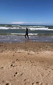 Maisons de vacances VILLA 600m de la plage calme Location possible a partir de 3 nuitees, pouvant accueillir 6-8 pers Activites nautiques randonnee velo peche golf casinos : photos des chambres