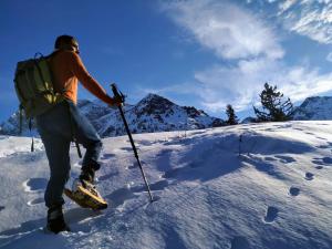 Chalets Gite l'Eterlou - Chalet cosy avec jardin et vue sur Belledonne : photos des chambres