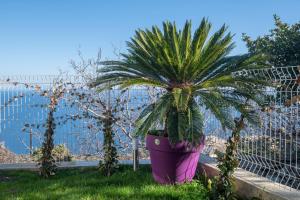 Maisons de vacances casa dei zitelli studio de charme avec jardin et terrasse : photos des chambres