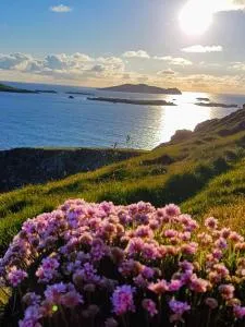 The Plough B&B - 文特里