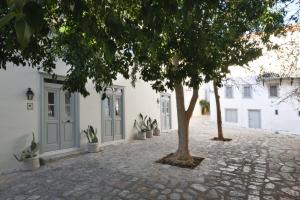 Cactus Hydra - Art Apartments