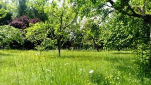 Maisons de vacances Gite spacieux et cosy a la campagne proche de Strasbourg : photos des chambres